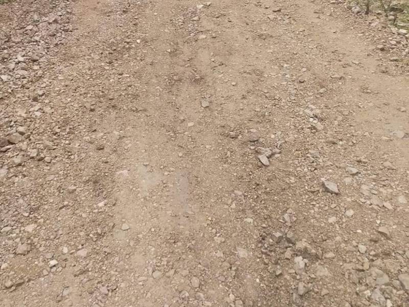 მიმდინარეობს სოფლის მხარდაჭერის ფარგლებში განსახორციელებელი სამუშაოები